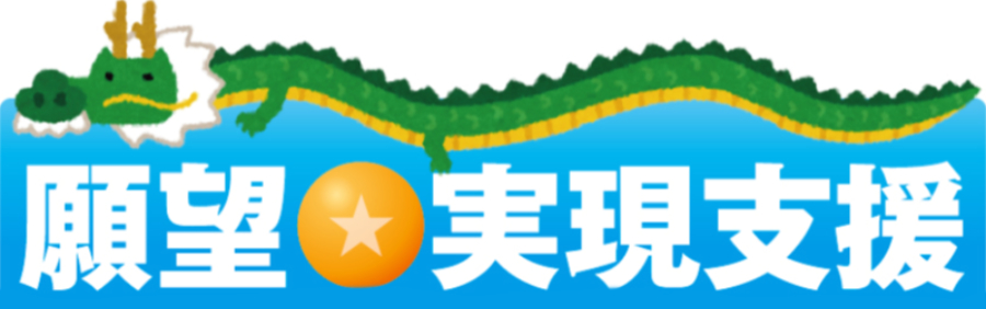 プチオンリー支援