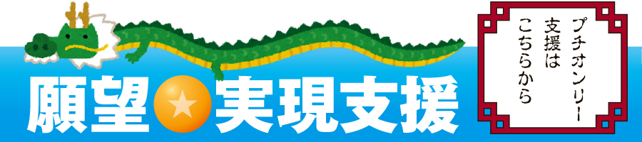 プチオンリー支援